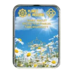 CEF Protecteur Familial